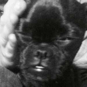 Meet your Posher, Harley